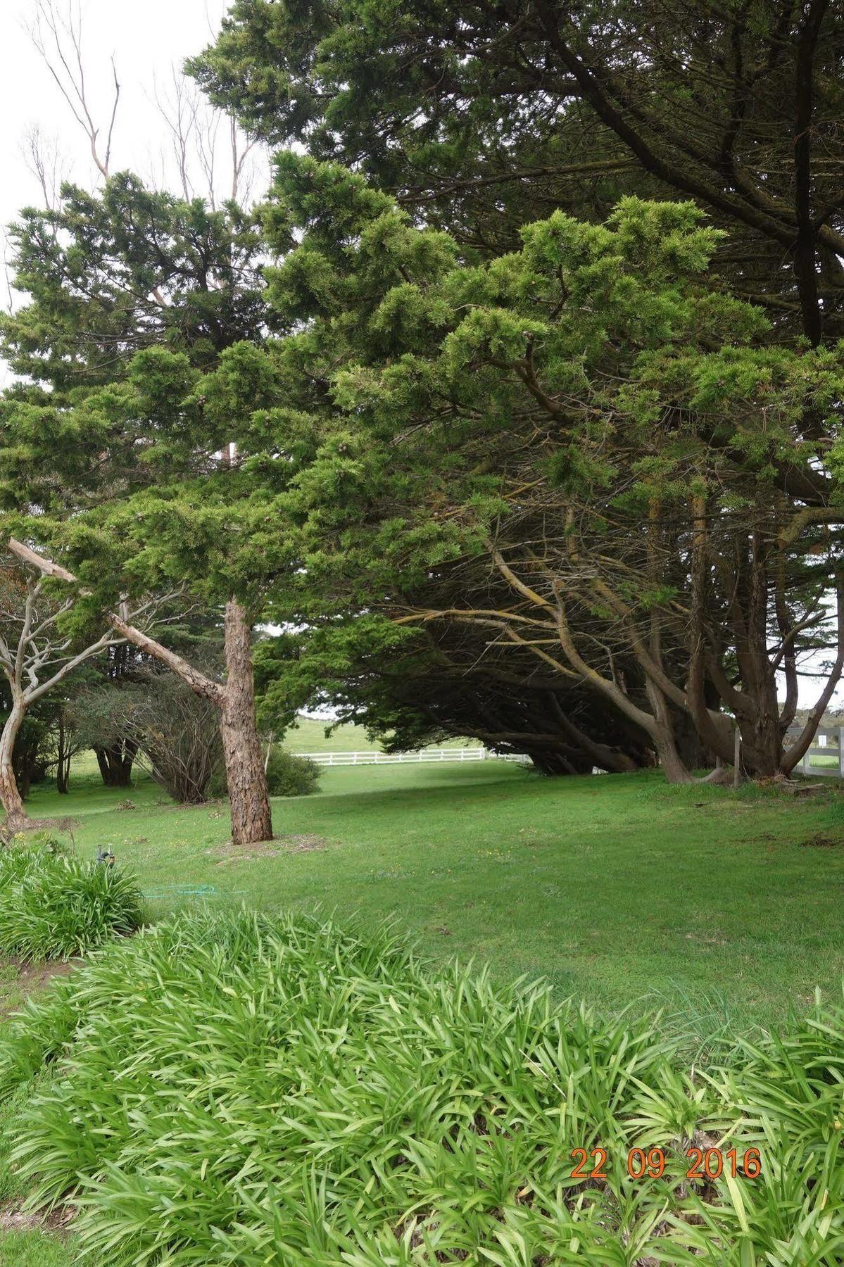 Morella Farmstay Cape Jervis Exterior foto